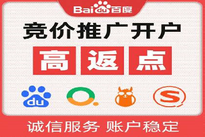 某某sem代运营公司：精准投放的背后策略